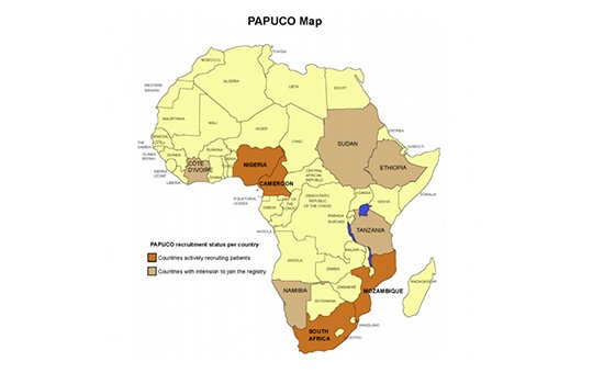 Pan African Pulmonary Hypertension Cohort Study